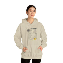 Load image into Gallery viewer, Pole Dancer Nutrition Facts Hooded Sweatshirt - The Enviro Co