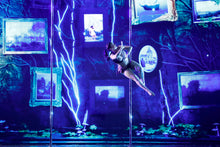 Load image into Gallery viewer, Ultimate Pole Choreography Package- with Kristy Sellars - The Enviro Co