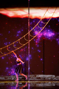 Ultimate Pole Choreography Package- with Kristy Sellars - The Enviro Co