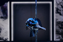 Load image into Gallery viewer, Ultimate Pole Choreography Package- with Kristy Sellars - The Enviro Co