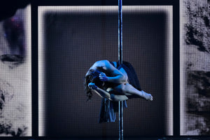 Ultimate Pole Choreography Package- with Kristy Sellars - The Enviro Co