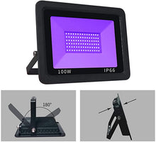 Load image into Gallery viewer, UV Black Light 100w - The Enviro Co