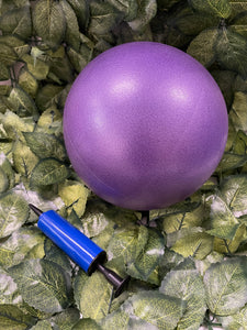 Yoga Ball - The Enviro Co